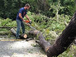 Best Utility Line Clearance  in La Grange, NC